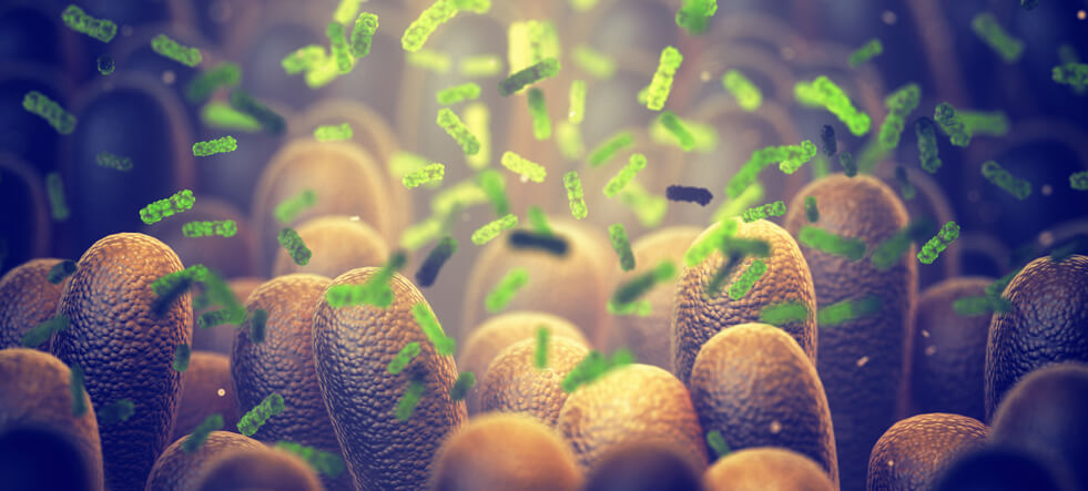 Mikrobiom pokarmowy – różnica pomiędzy dobrymi a złymi bakteriami